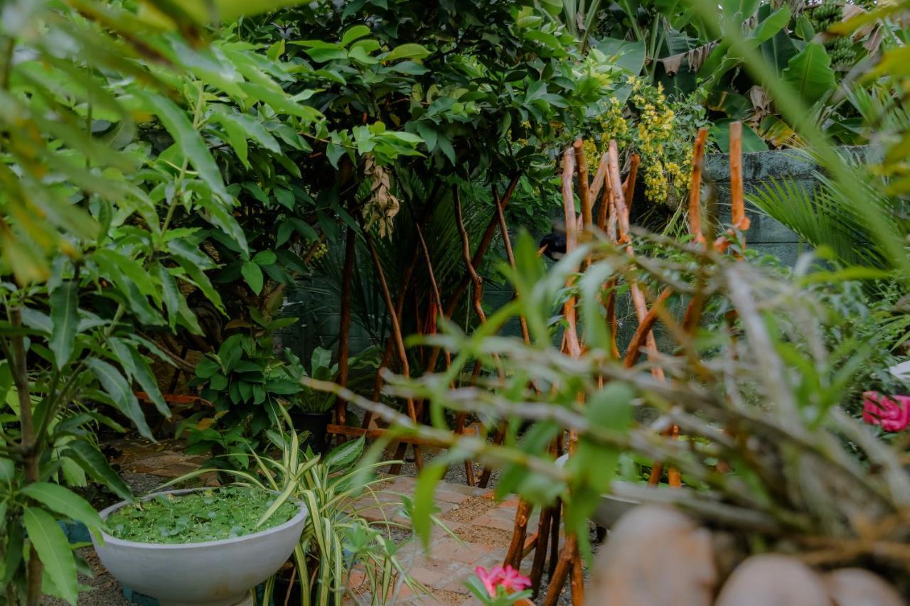 Ruwan Jungle Homestay มิริสซา ภายนอก รูปภาพ