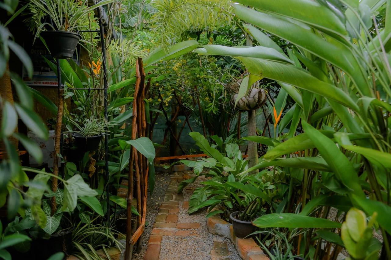Ruwan Jungle Homestay มิริสซา ภายนอก รูปภาพ