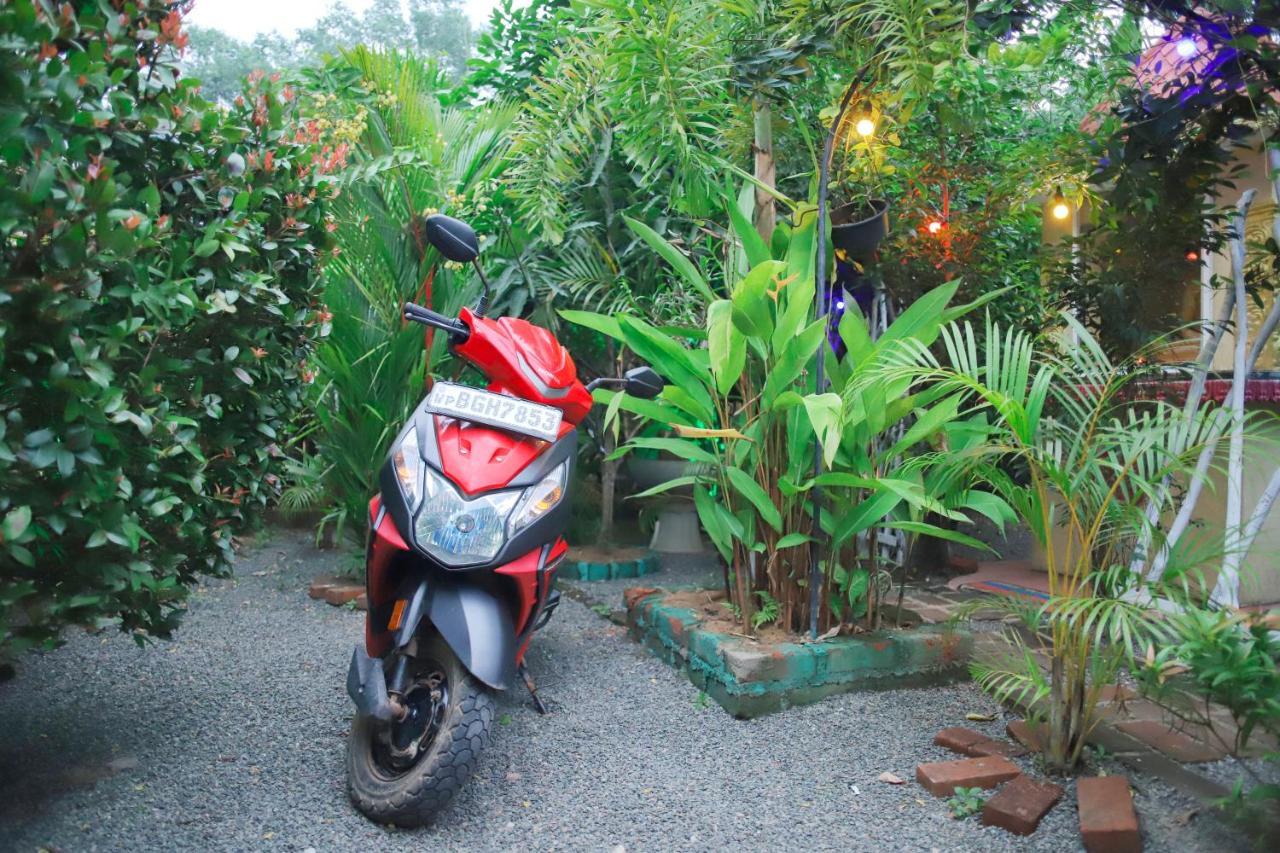 Ruwan Jungle Homestay มิริสซา ภายนอก รูปภาพ