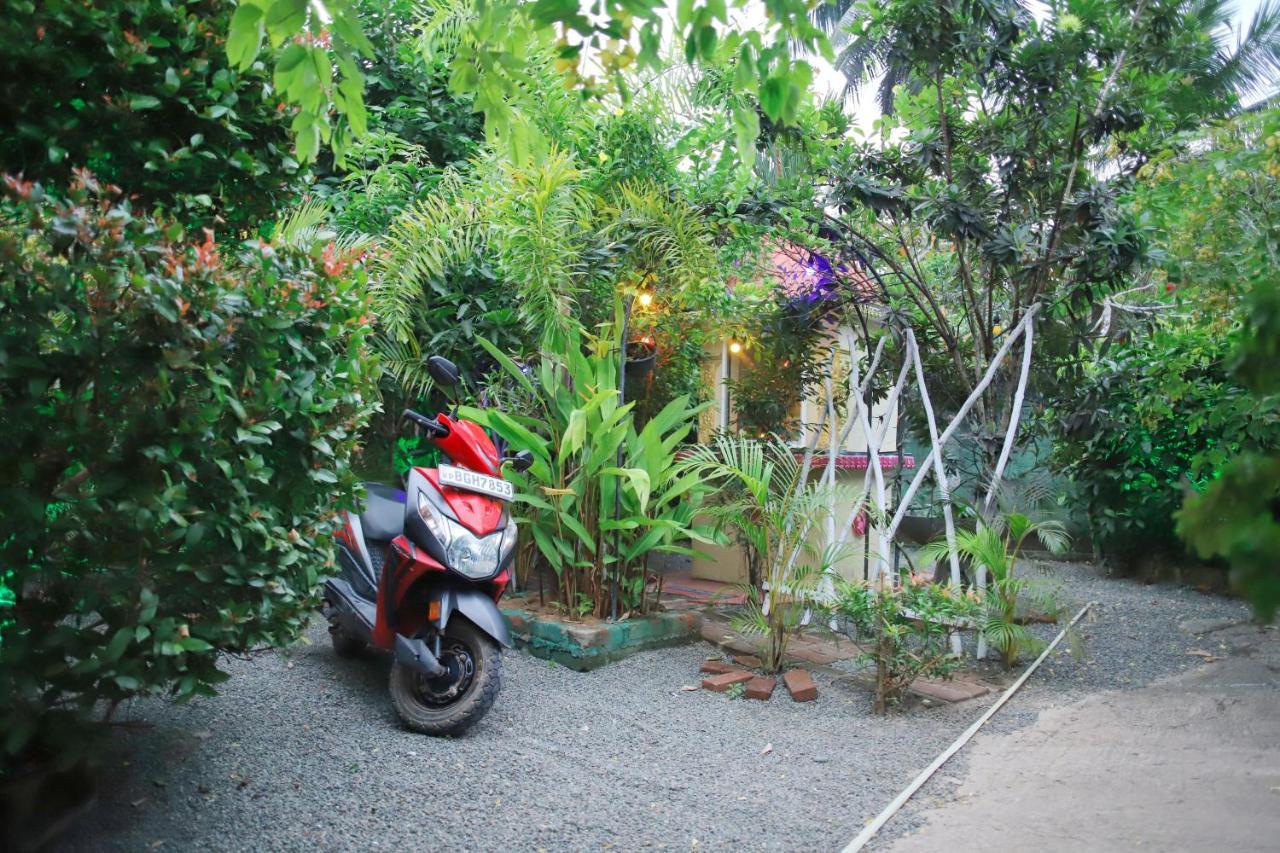 Ruwan Jungle Homestay มิริสซา ภายนอก รูปภาพ