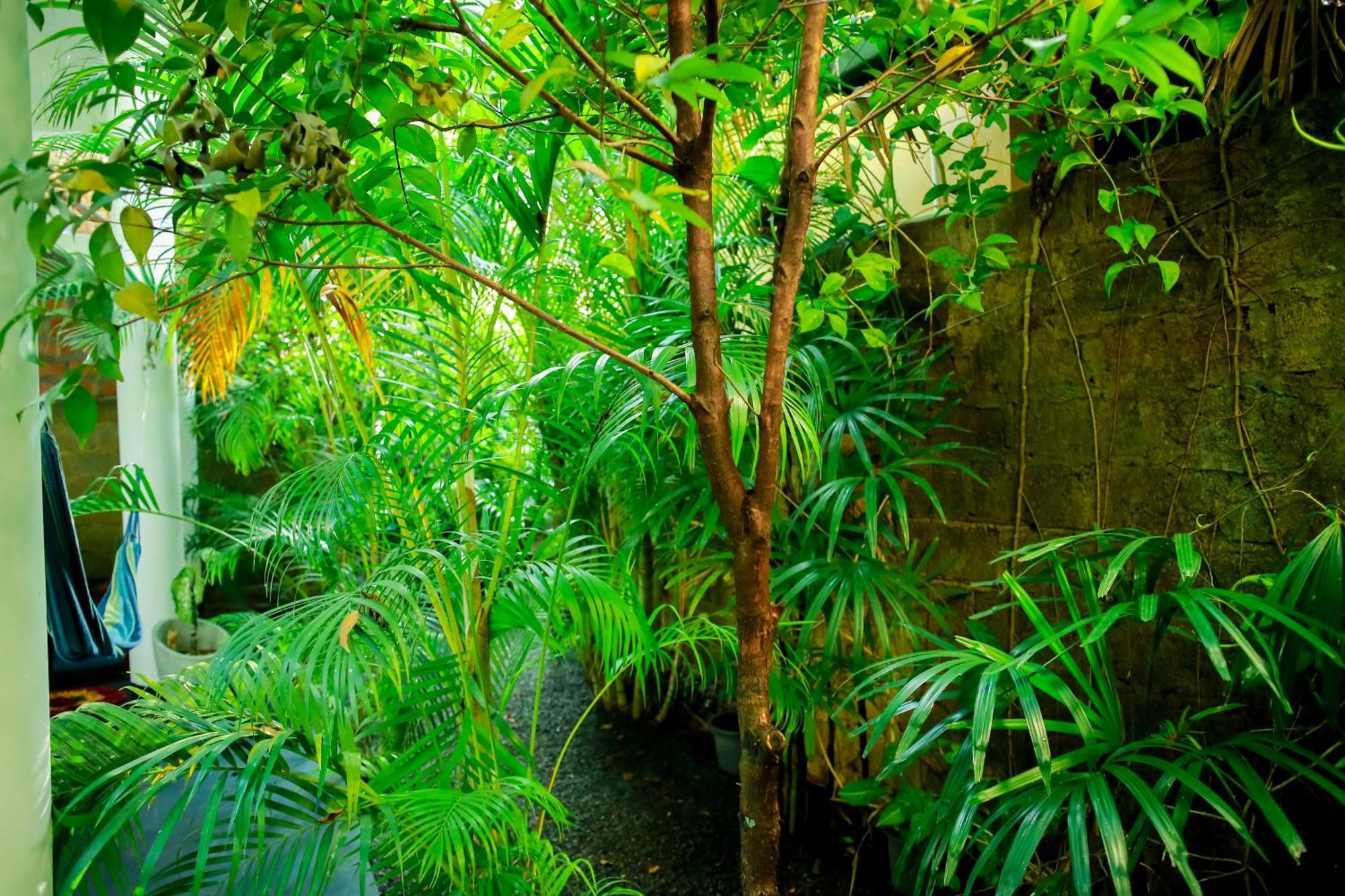 Ruwan Jungle Homestay มิริสซา ภายนอก รูปภาพ