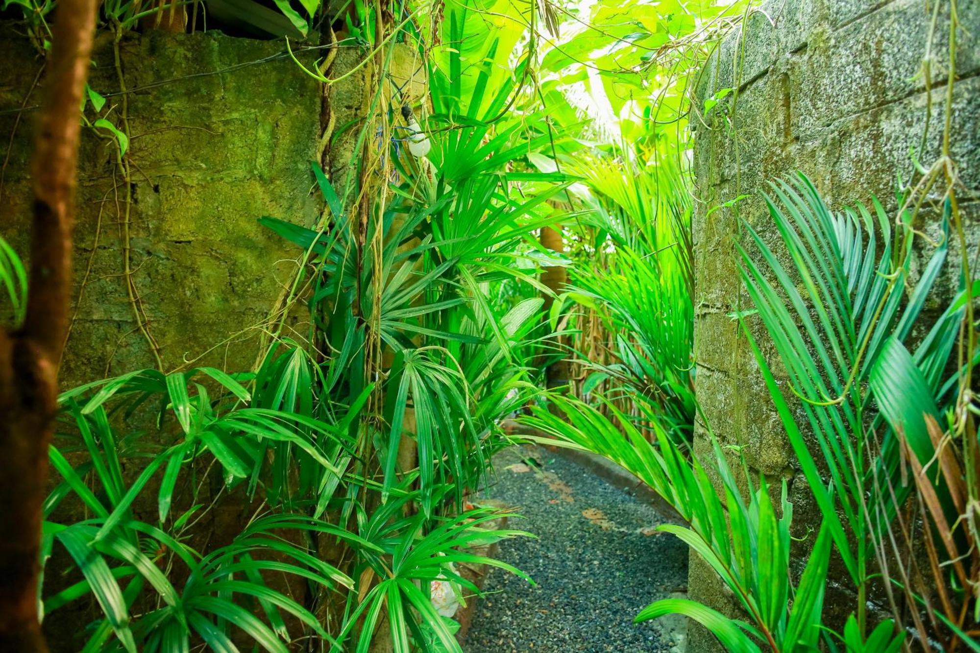 Ruwan Jungle Homestay มิริสซา ภายนอก รูปภาพ