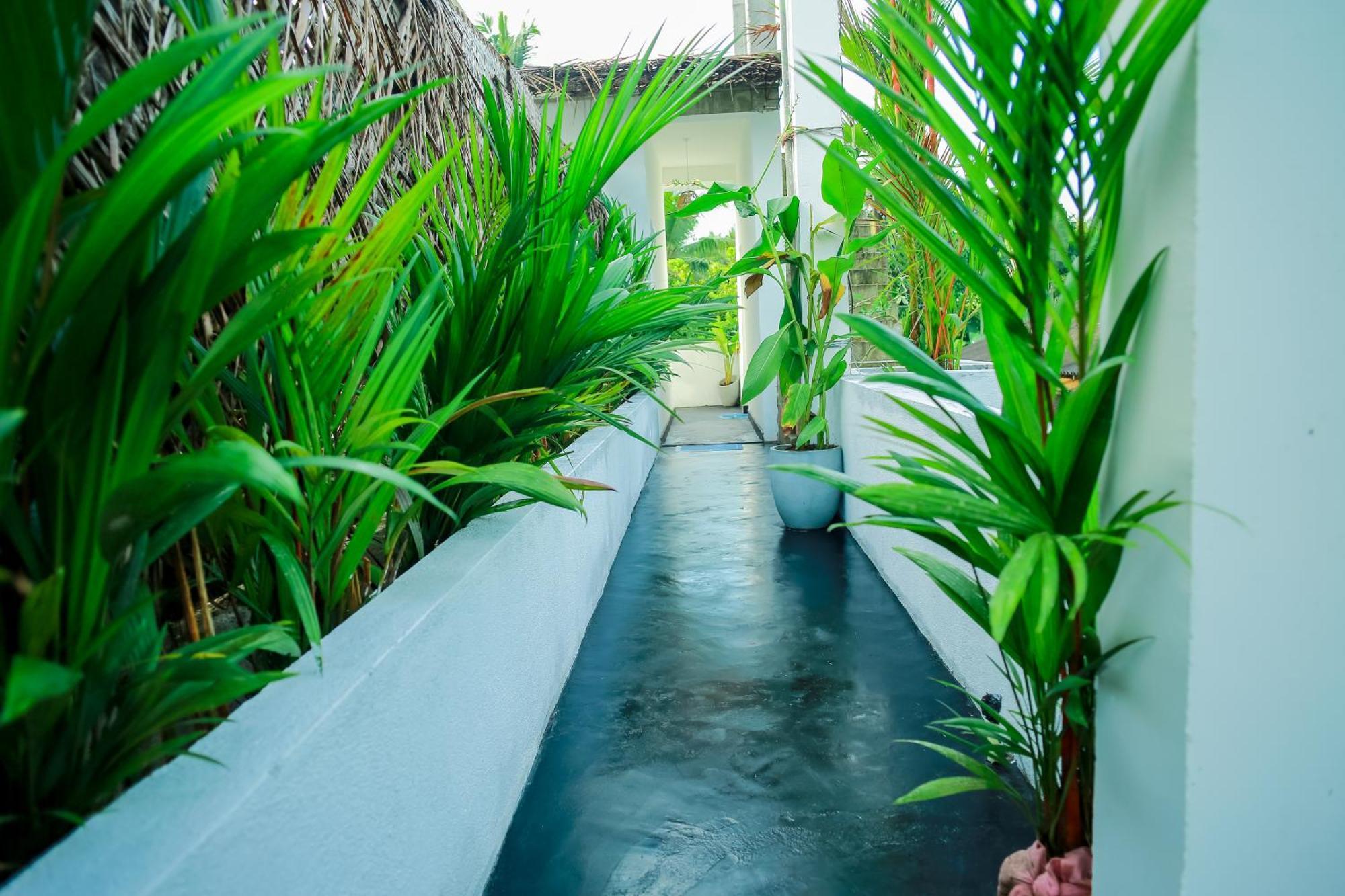 Ruwan Jungle Homestay มิริสซา ภายนอก รูปภาพ