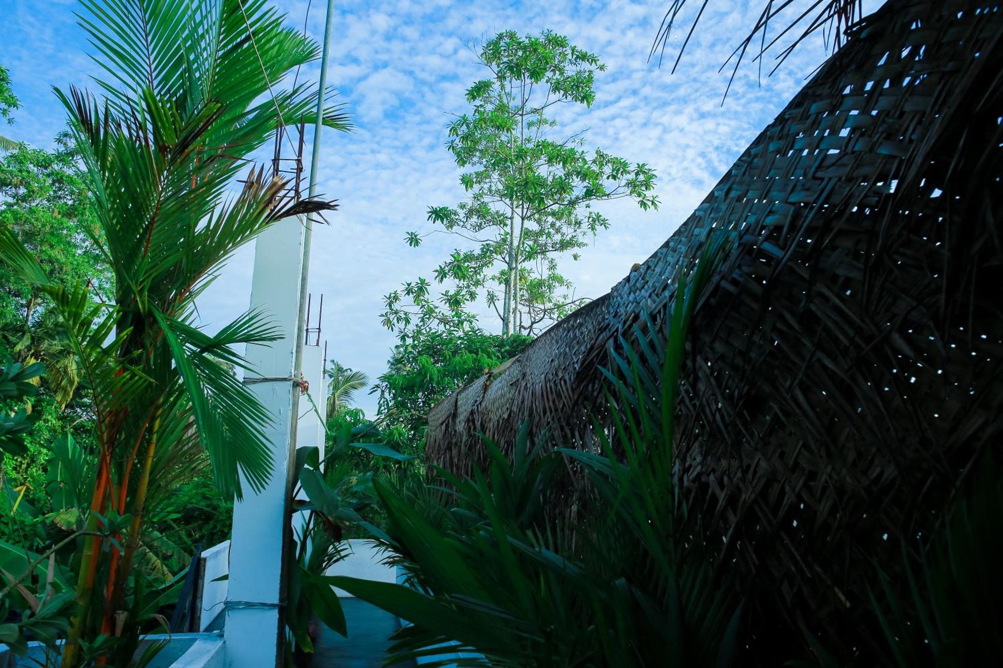 Ruwan Jungle Homestay มิริสซา ภายนอก รูปภาพ