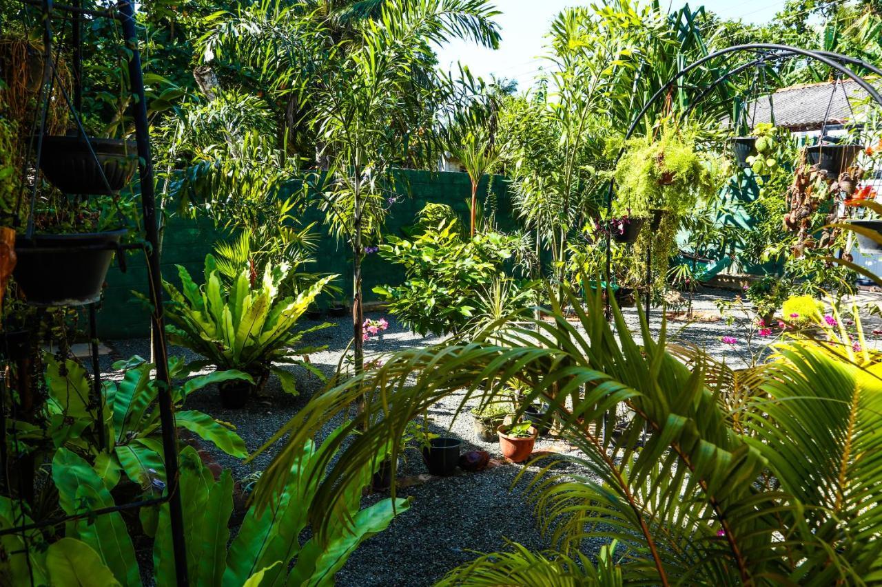 Ruwan Jungle Homestay มิริสซา ภายนอก รูปภาพ